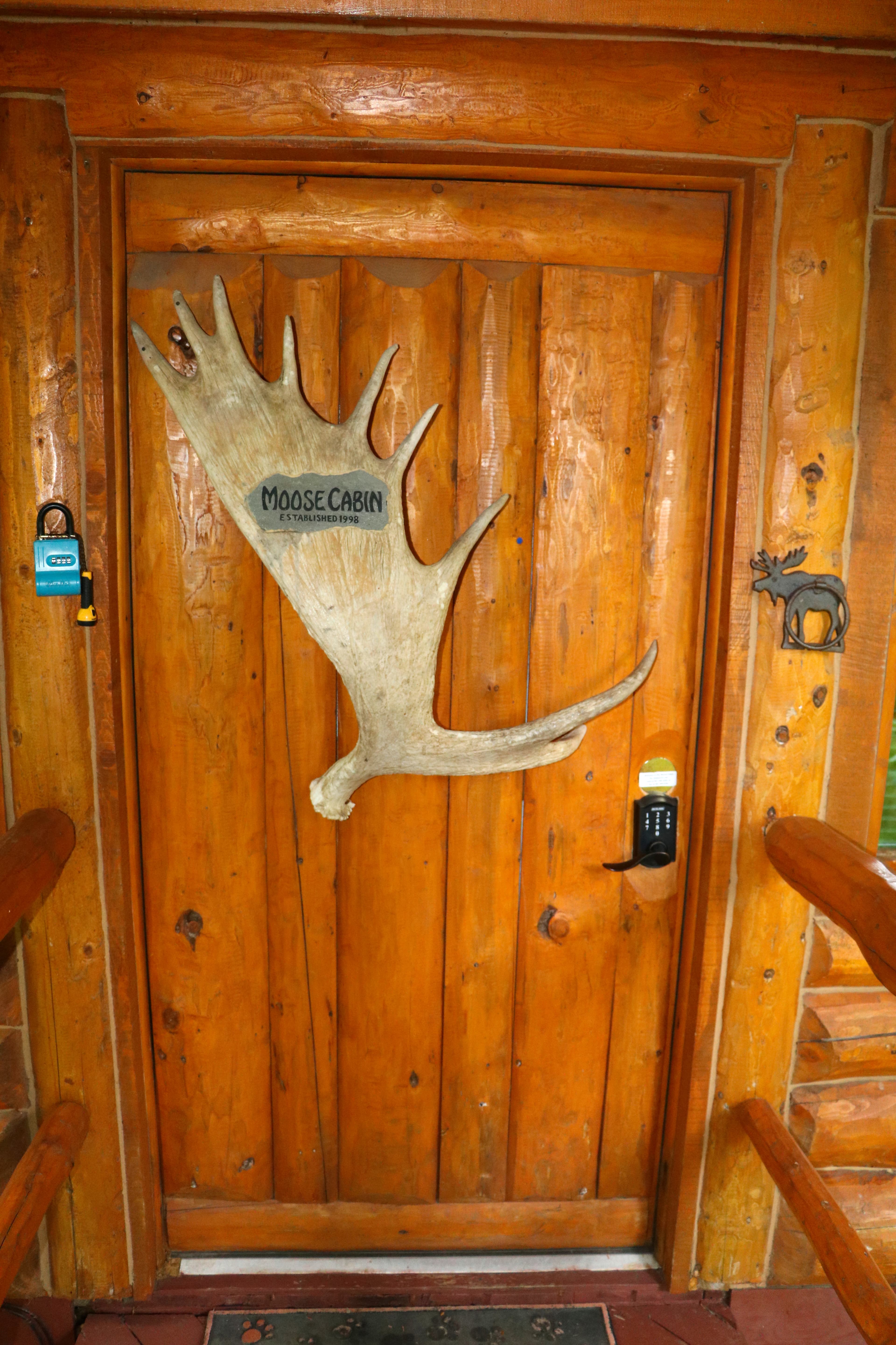 Entrance Door with moose rack