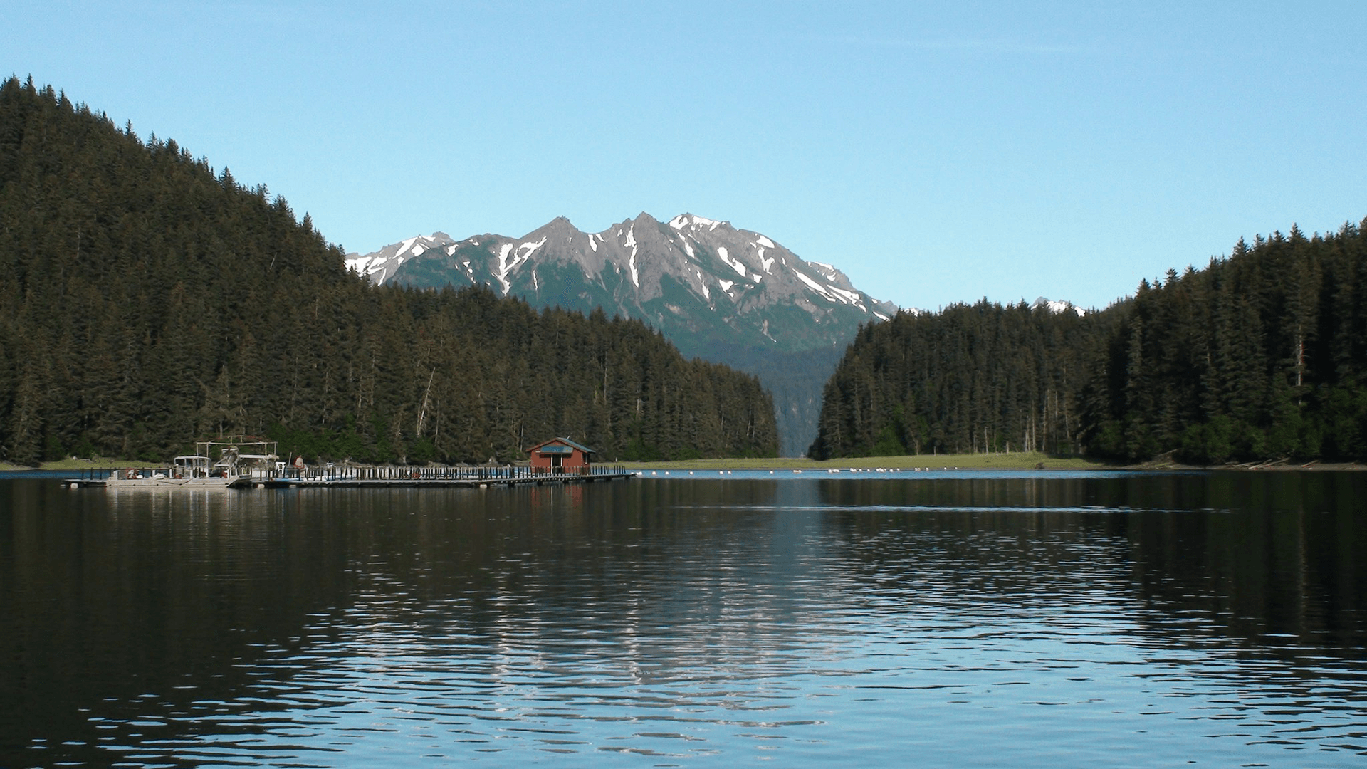 A tranquil lake with clear blue water, bordered by trees and gentle hills in the background.