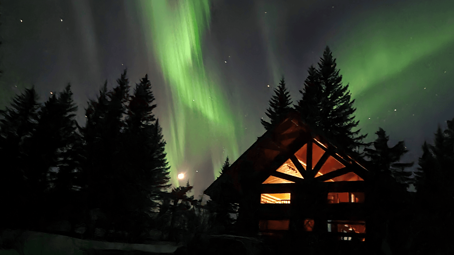 Green northern lights in a dark gray sky with a silhouetted forest and log cabin, with golden lit windows